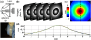 Fig. 11