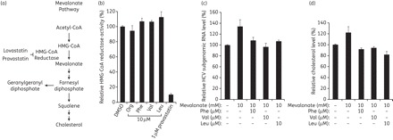 Figure 5.