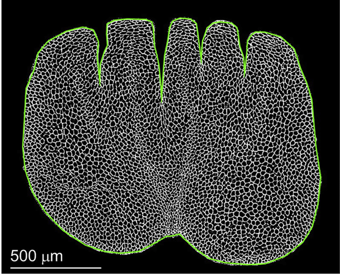 Figure 6