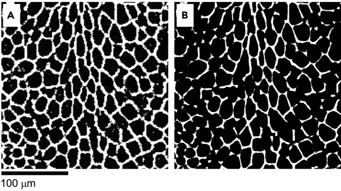 Figure 10