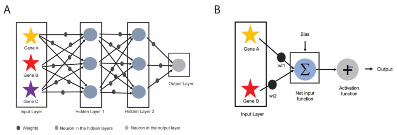 Fig. (6)