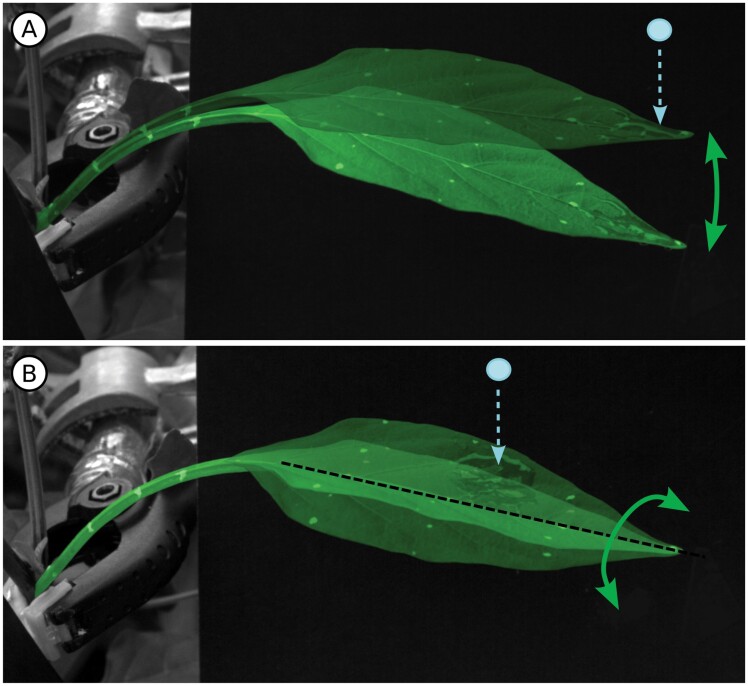 Fig. 4.