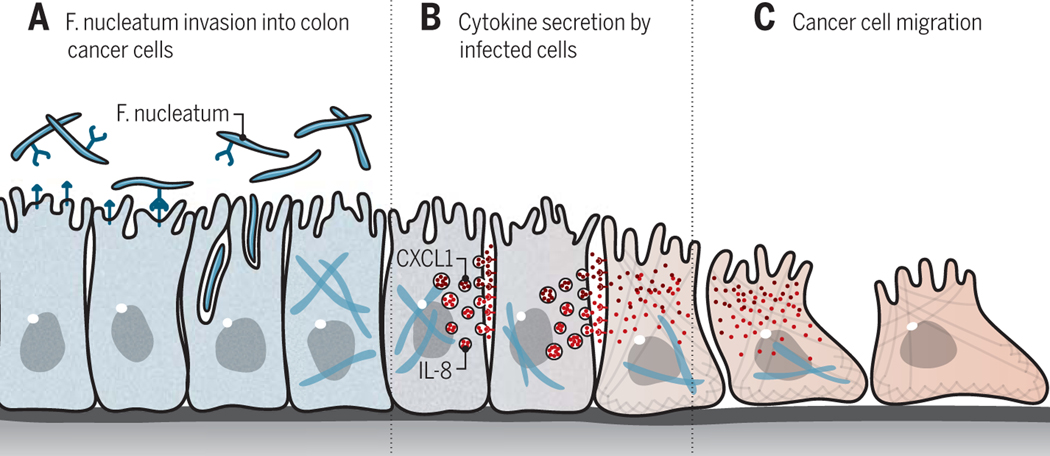 Figure 1: