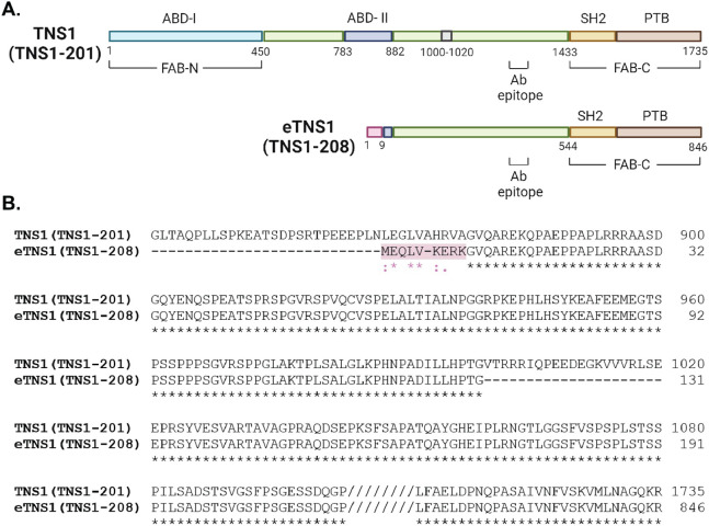 Figure 4: