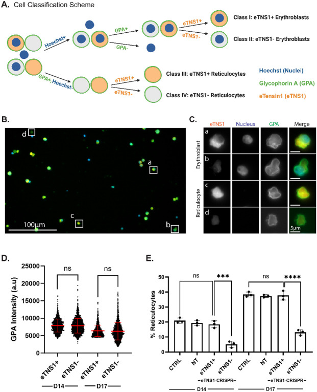 Figure 6: