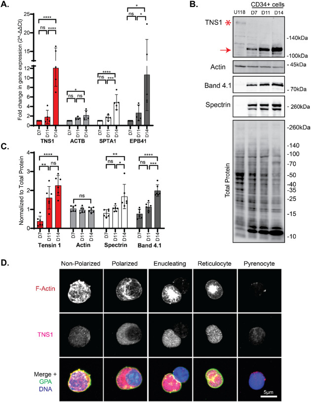 Figure 2: