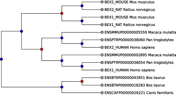 Figure 2.