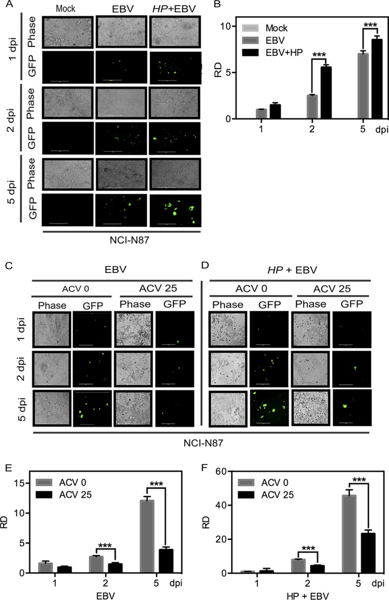 FIG 3 