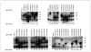 Figure 14A.2.5
