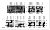 Figure 14A.2.6