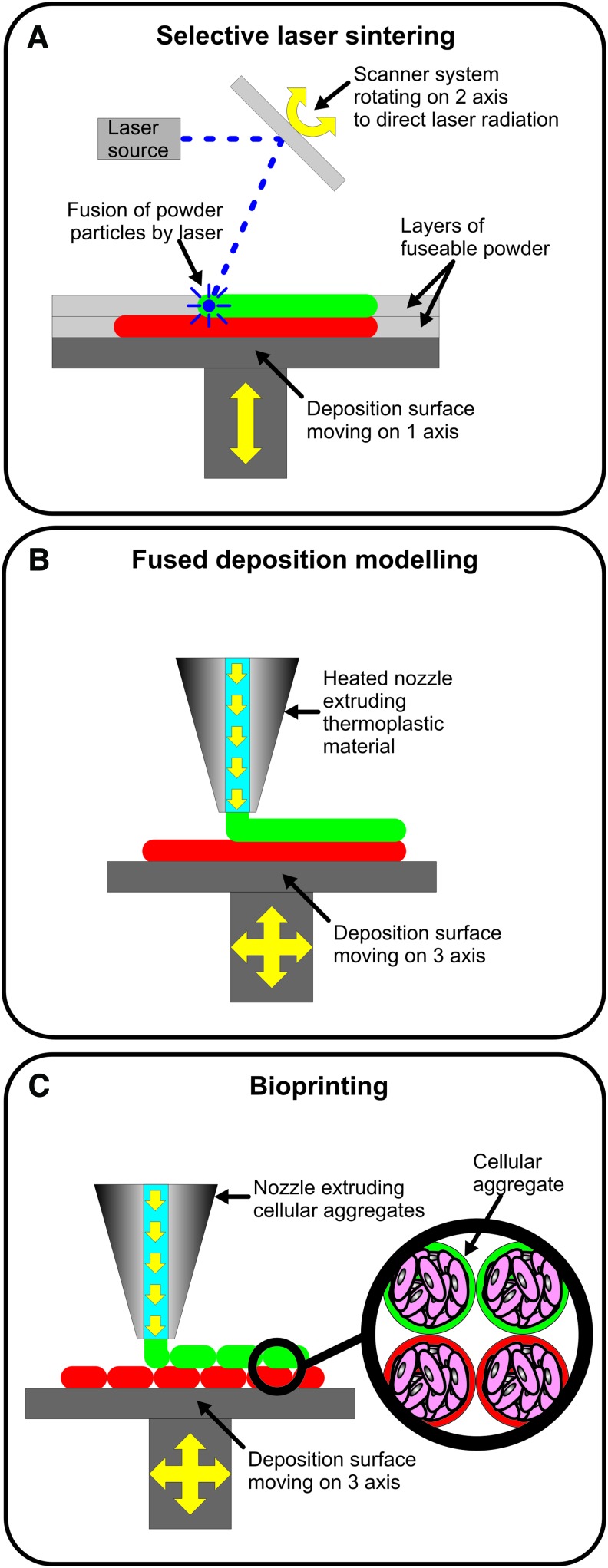 FIG. 3.