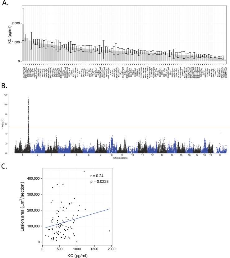 Fig 6