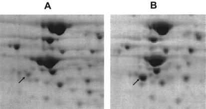 FIG. 7.