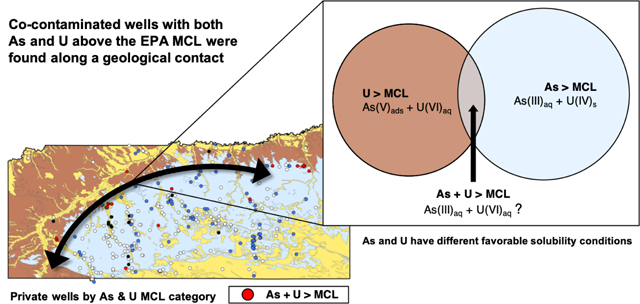 graphic file with name nihms-1721088-f0001.jpg