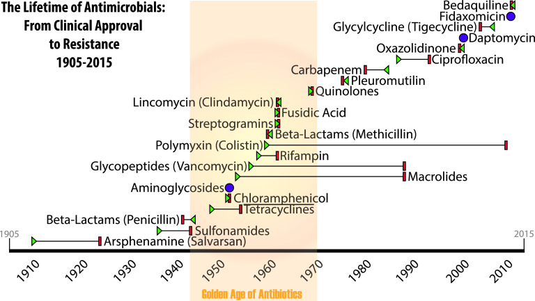 FIG 1