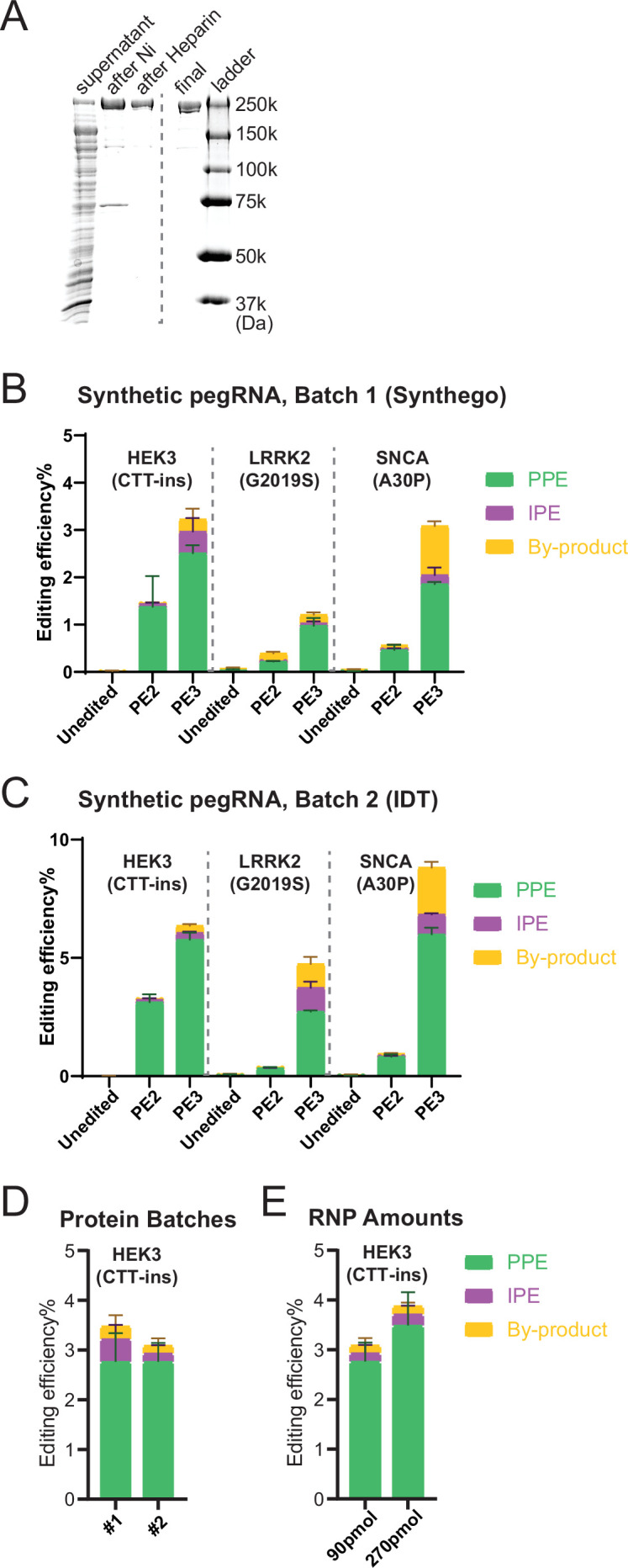 Figure 2—figure supplement 2.