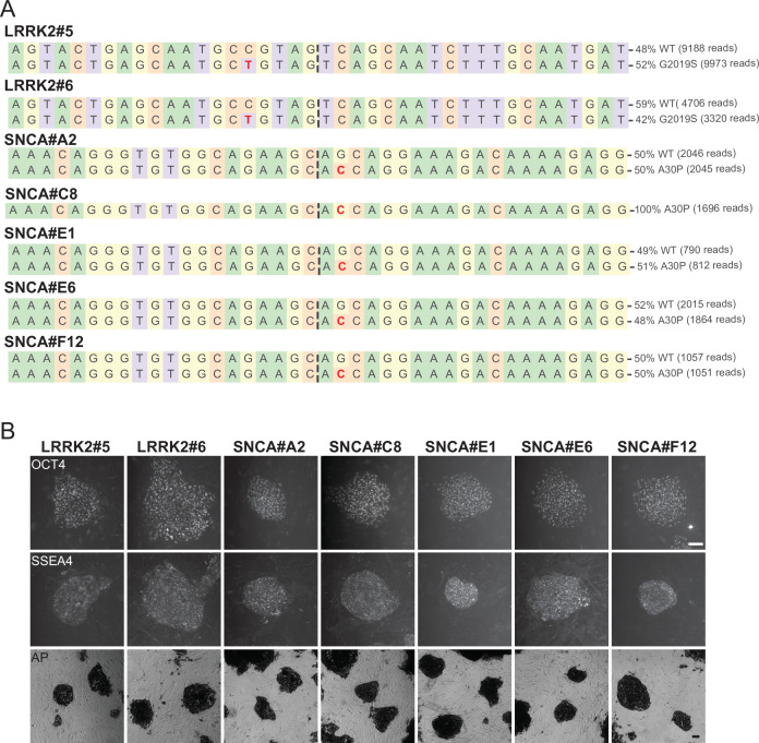 Figure 1—figure supplement 3.