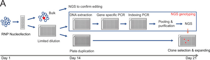 Figure 1—figure supplement 2.