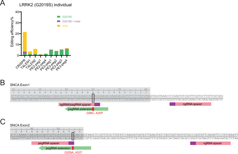 Figure 1—figure supplement 1.