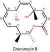 Figure 2:
