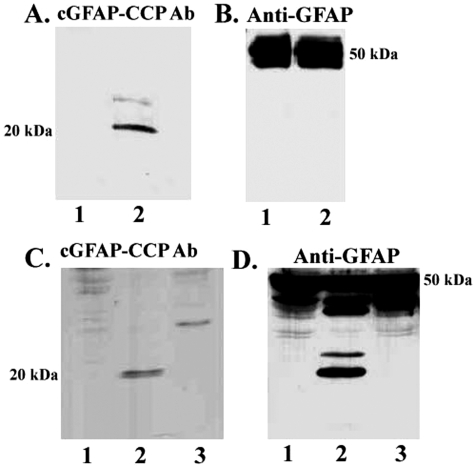 Figure 1-6787