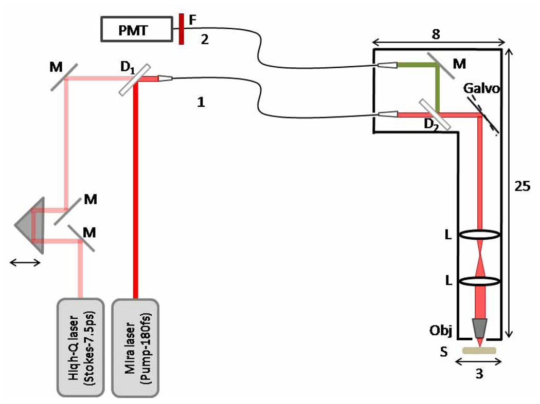 Fig. 1