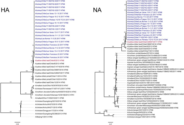 Figure 2.