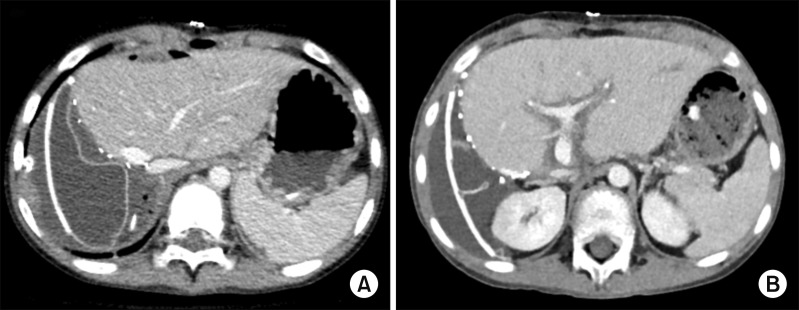 Fig. 8