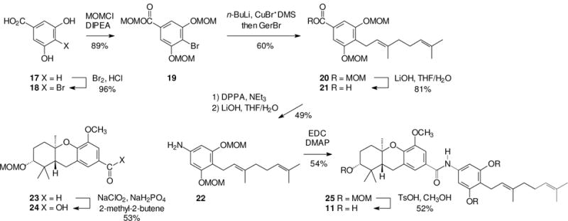 Scheme 2