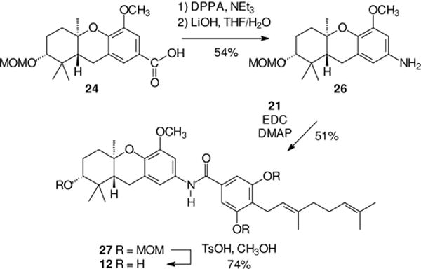 Scheme 3