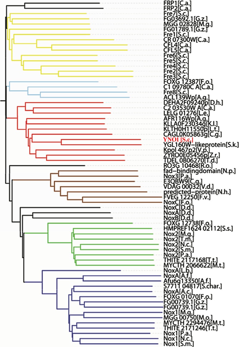 Fig. 6