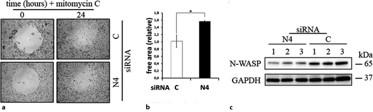 Fig. 8