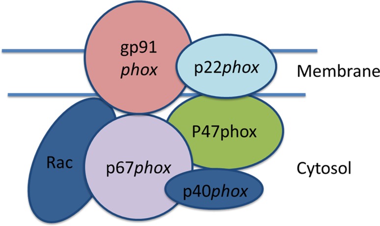 Fig. 4