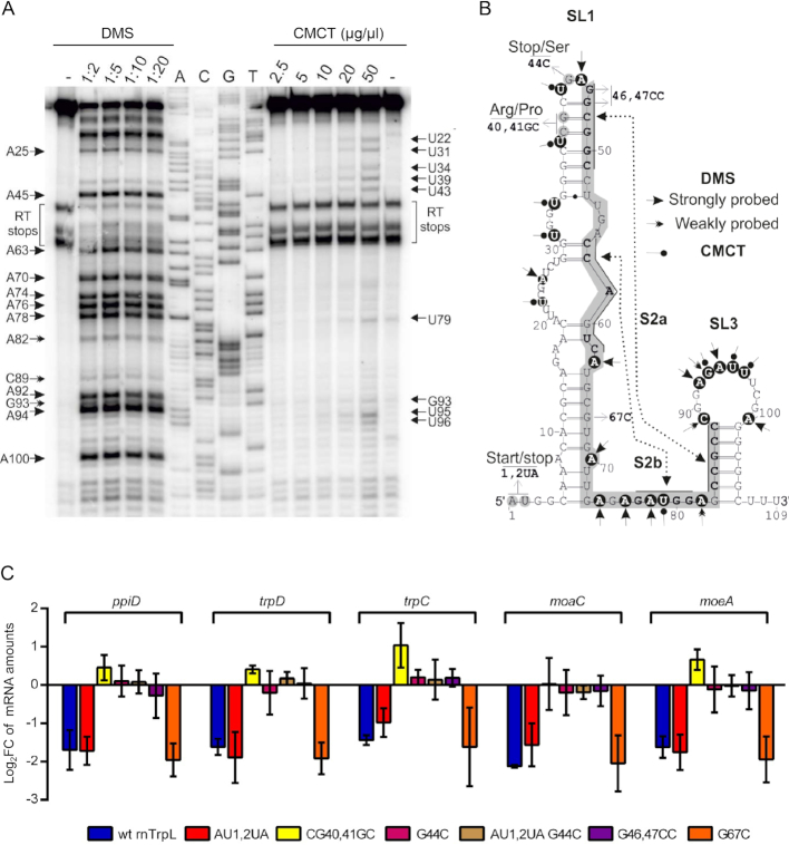 Figure 2.