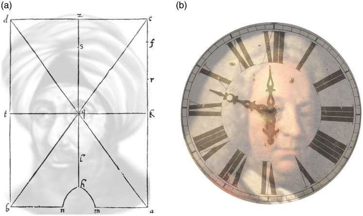 Figure 20.