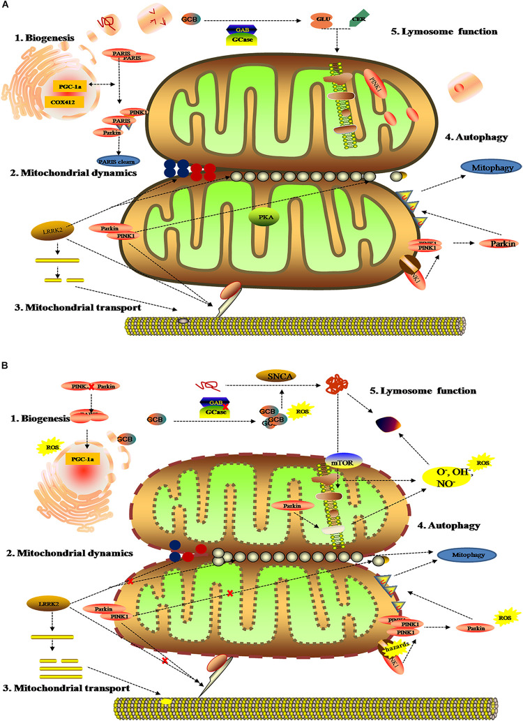 FIGURE 3