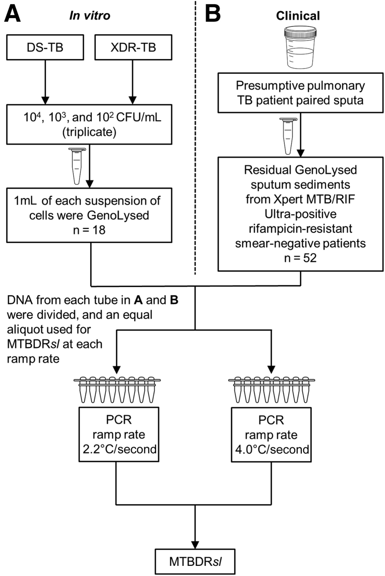 Figure 1