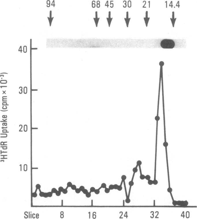 graphic file with name pnas00608-0255-a.jpg