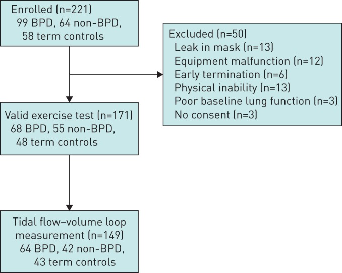 FIGURE 2