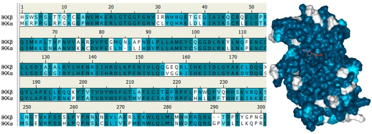 Inhibitory-κB Kinase (IKK) α and Nuclear Factor-κB (NFκB)-Inducing ...