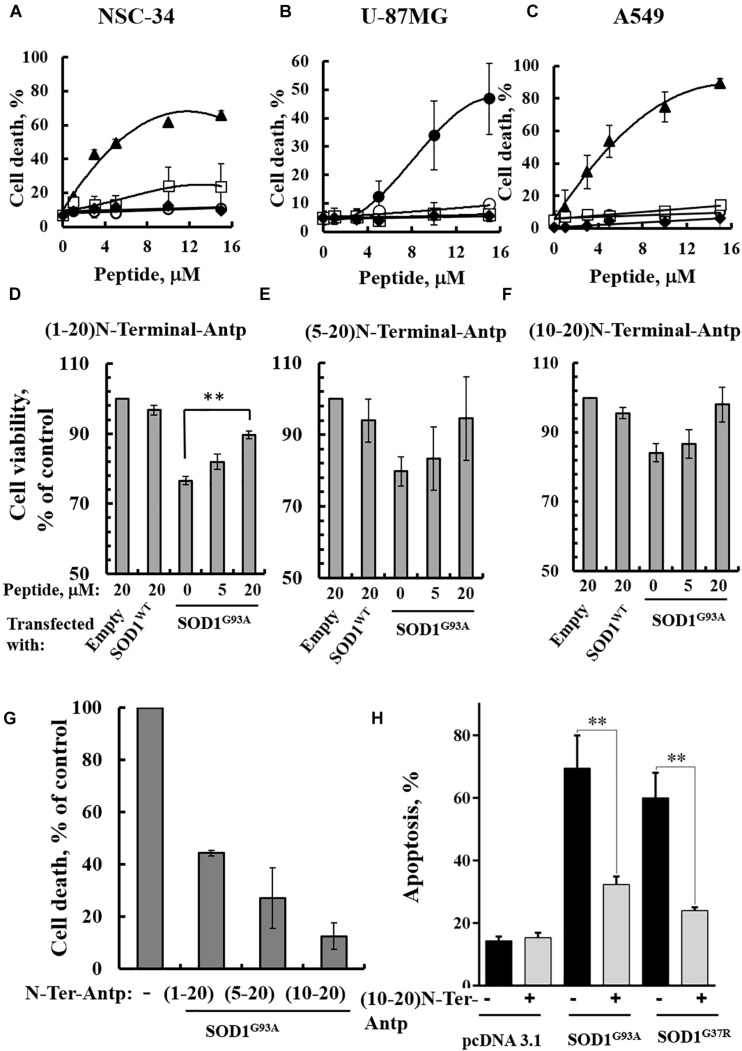 FIGURE 4