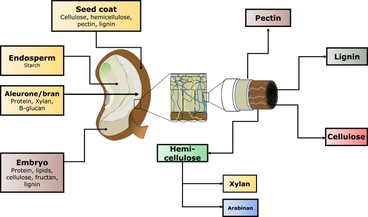 Fig. 1