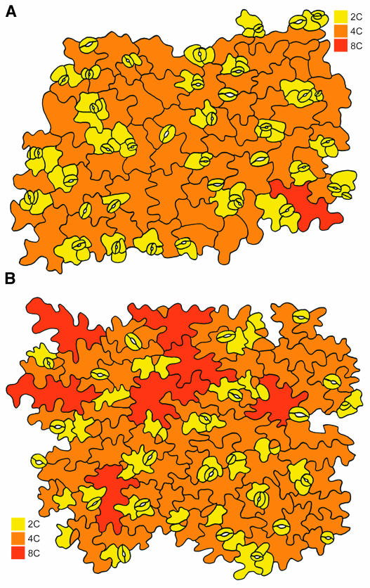 Figure 2.