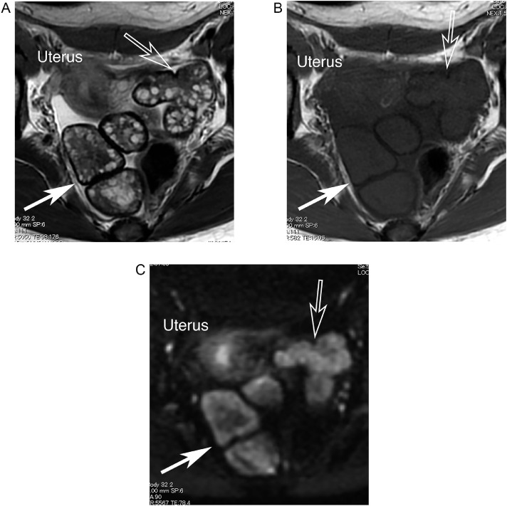 Fig 1 –