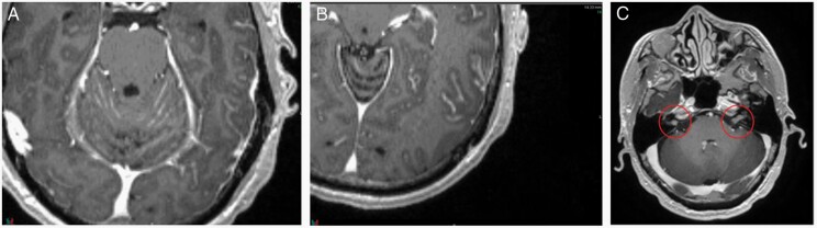 Fig. 7