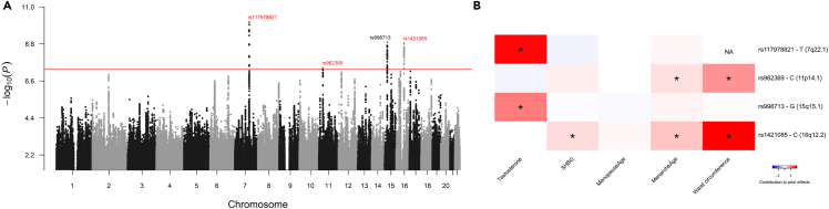 Figure 1