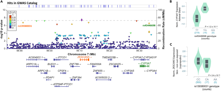 Figure 2