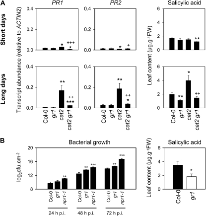 Figure 10.