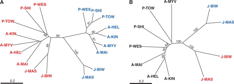 Fig. 5.