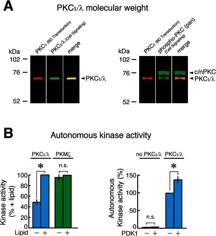 Figure 3—figure supplement 2.